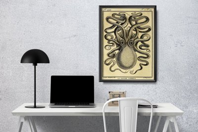 Poszter Octopus haeckel ernst