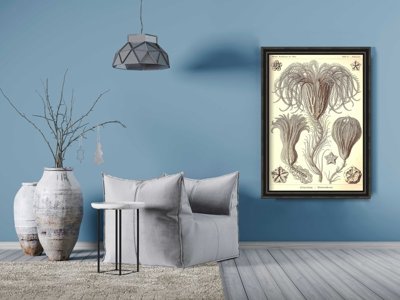 Retro plakát Crinoidea ernst haeckel