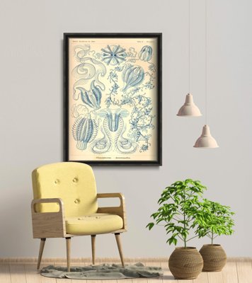 Retro plakát Cnnenophorae ernst haeckel