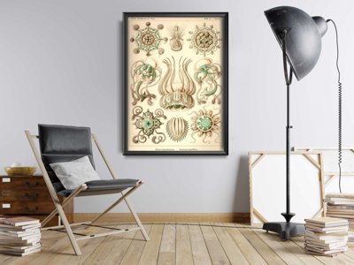 Retro plakát Narcmedusae ernst haeckel