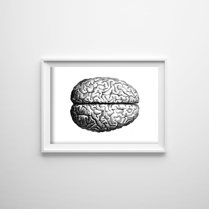 Plakát Anatómiai agy
