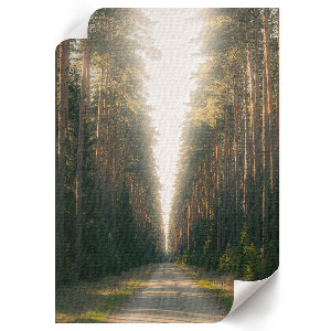 Poszter kép Égő bokor