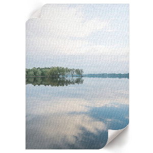 Poszter kép Amarillisz