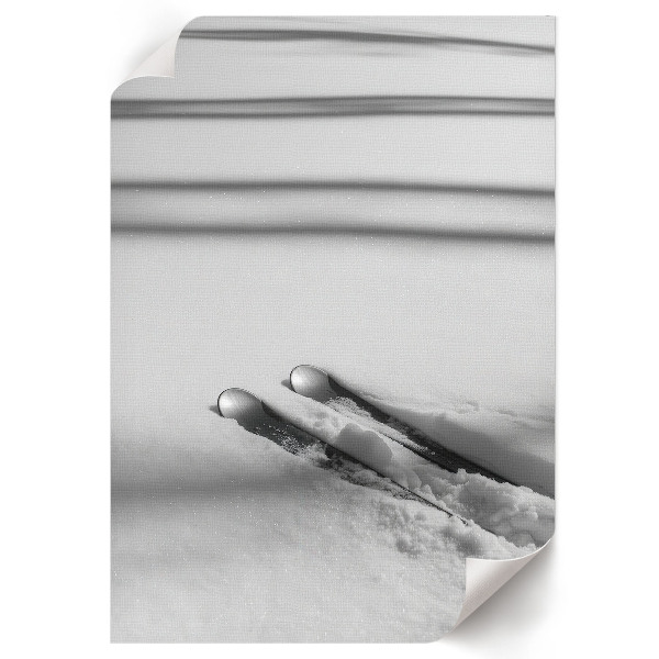 Poszter kép Pontyok és kárászok