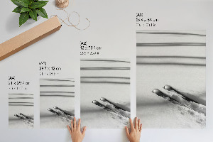 Poszter kép Pontyok és kárászok