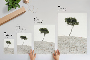 Vintage poszter Daru