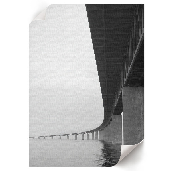 Retro poszter Sárgafarkú és sügér