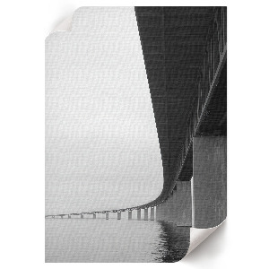 Retro poszter Sárgafarkú és sügér