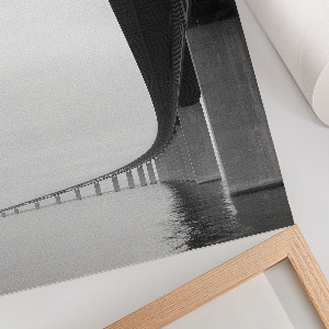 Retro poszter Sárgafarkú és sügér