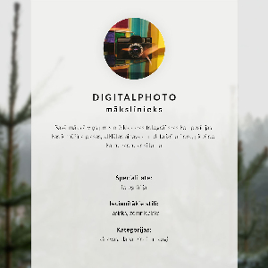 Retro plakát Macskák