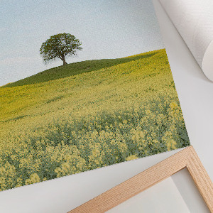 Retro plakát Macskák