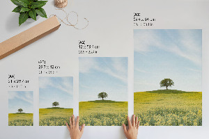 Retro plakát Macskák