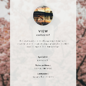 Poszter kép Kilátás a híd alól