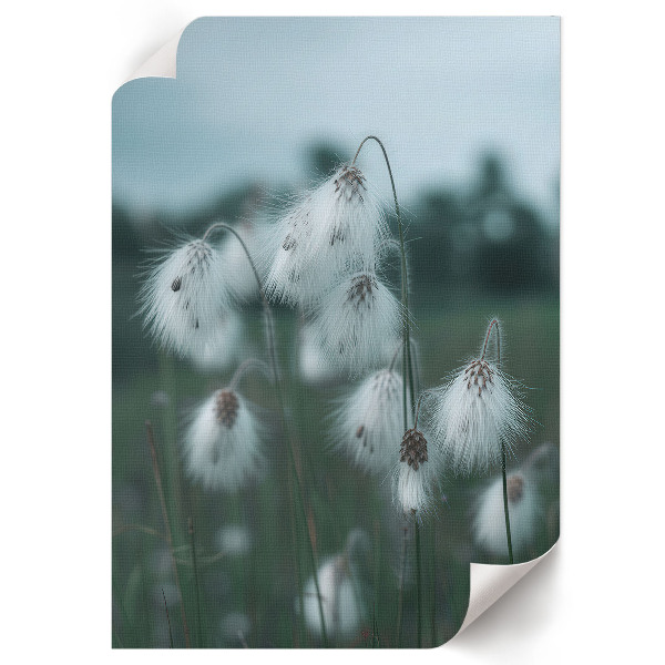 Vintage poszter Liliomok