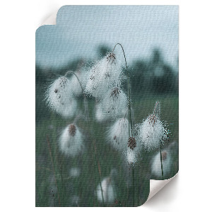 Vintage poszter Liliomok