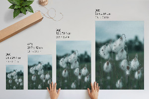 Vintage poszter Liliomok