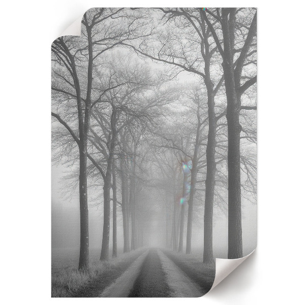 Retro plakát Csapda