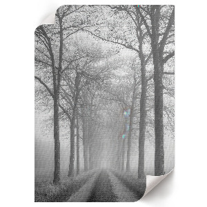 Retro plakát Csapda