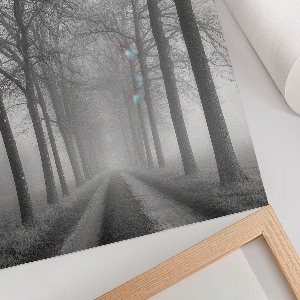 Retro plakát Csapda