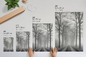 Retro plakát Csapda