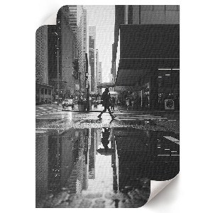 Poszter kép Vágtató ló