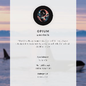 Retro plakát Tanulmány a napra