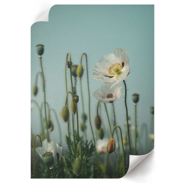 Vintage poszter Mozgás és energia