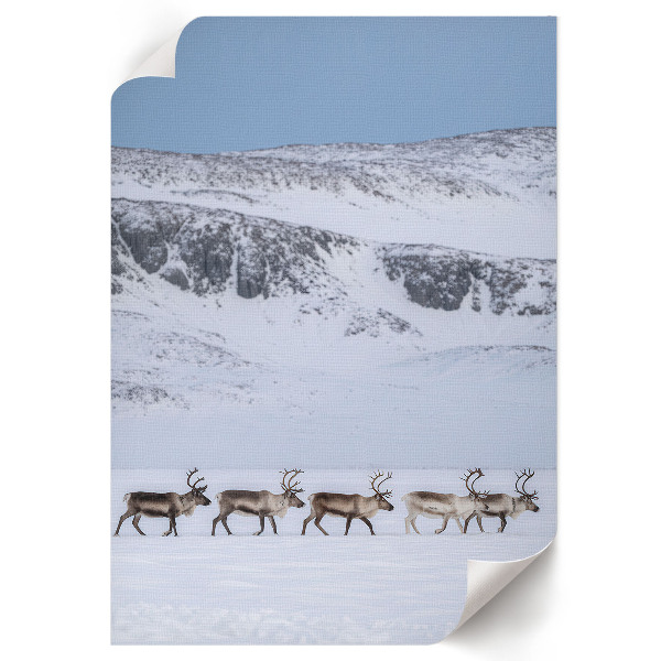 Retro poszter Keleti harmónia