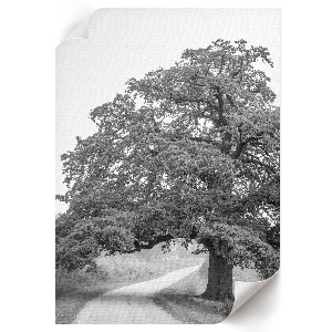 Poszter kép Az absztrakció színei