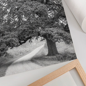 Poszter kép Az absztrakció színei