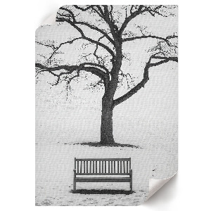 Poszter kép Sportesemények