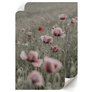 Retro poszter Japán Onsen táj