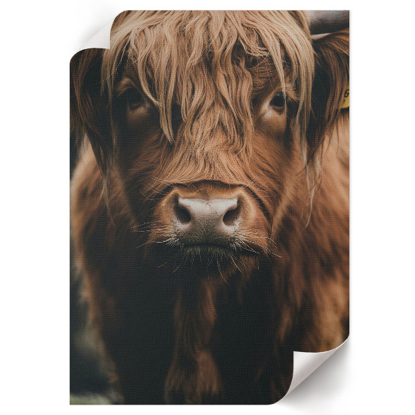 Retro poszter Színes házak