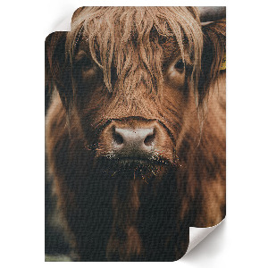 Retro poszter Színes házak