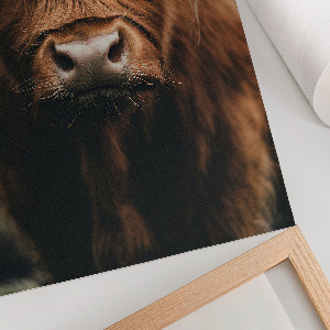 Retro poszter Színes házak