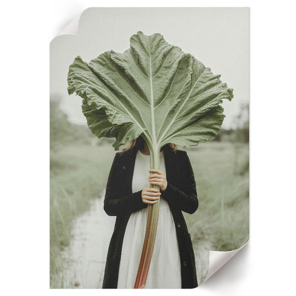 Retro plakát Pipacsok és erdő