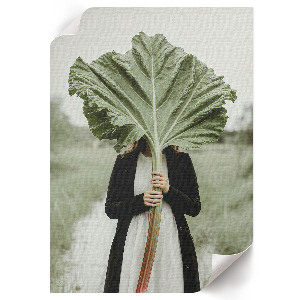 Retro plakát Pipacsok és erdő