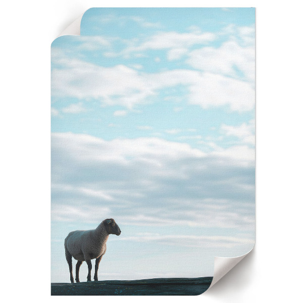 Poszter kép Szemléltető bérházak