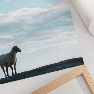 Poszter kép Szemléltető bérházak