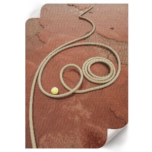 Poszter kép Modern építészet