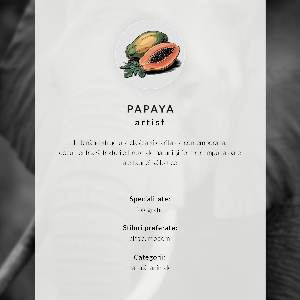 Retro poszter Északi fény