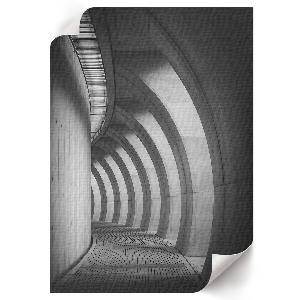 Vintage poszter Két pálmafa