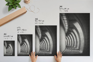 Vintage poszter Két pálmafa