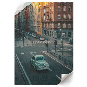 Retro poszter Medve az erdőben