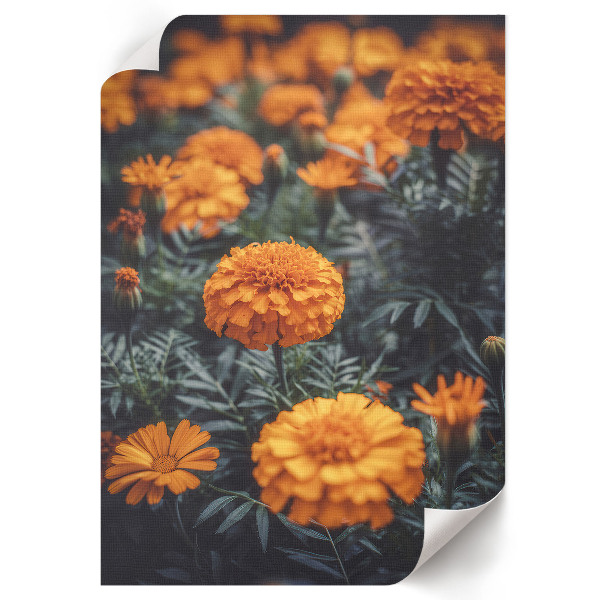 Retro plakát Repülőgép részletei