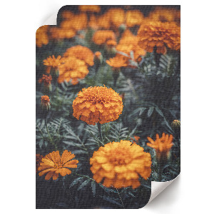 Retro plakát Repülőgép részletei