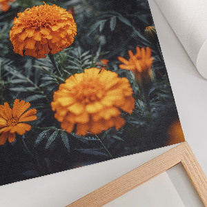 Retro plakát Repülőgép részletei