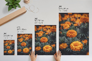 Retro plakát Repülőgép részletei