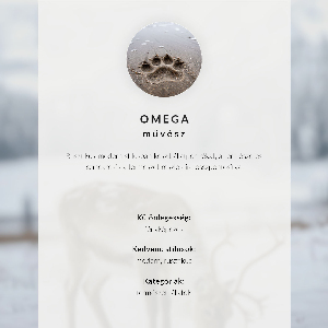 Vintage poszter Klasszikus repülőgép