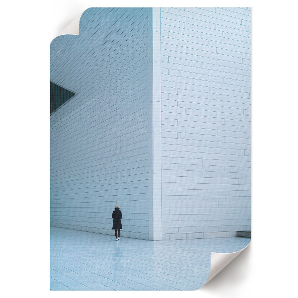 Poszter kép A lány és a madár